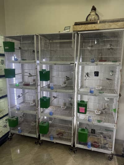 2X1.5 4 portion cage for sale with Trays