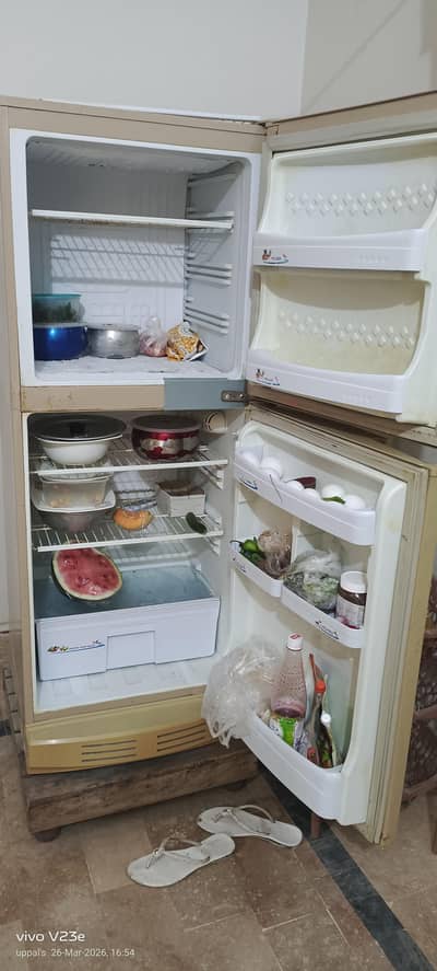 pel medium size fridge for sale