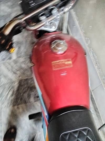 cd70 model 2026 applied for open letter