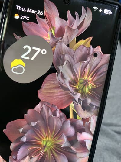 Pixel 6 pro pta approve