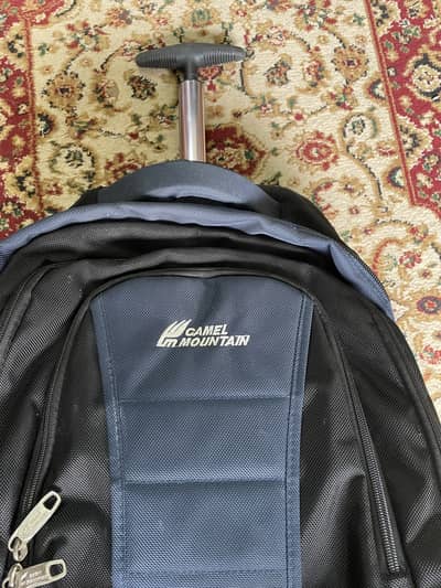 Camel Mountain Brand Original