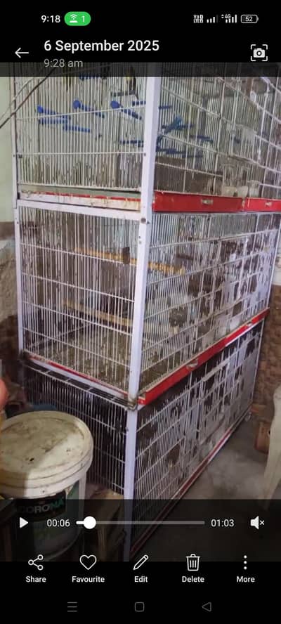 full folding flight cage 2/2/5 fit