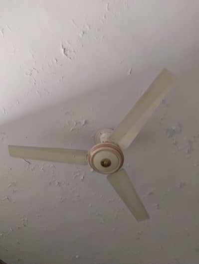 Fan in very good condition