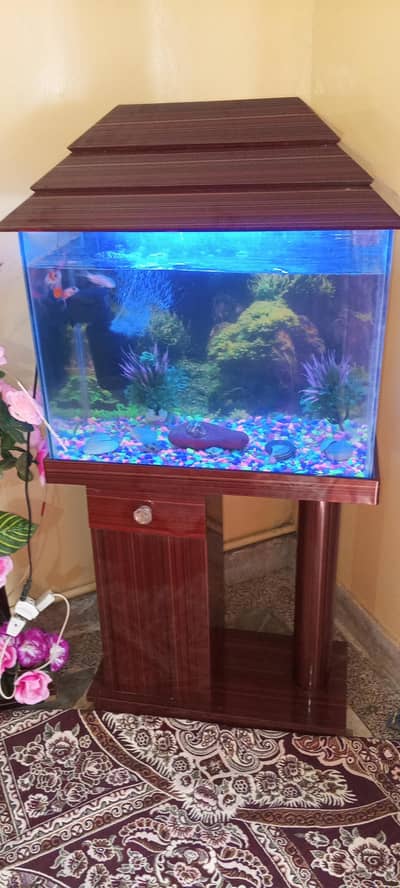 Aquarium used like new