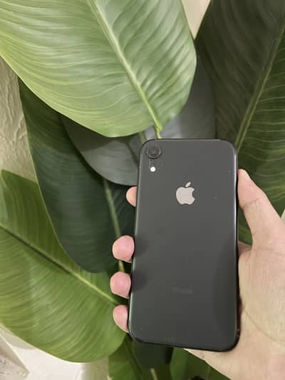 Ipnone xr sim time available