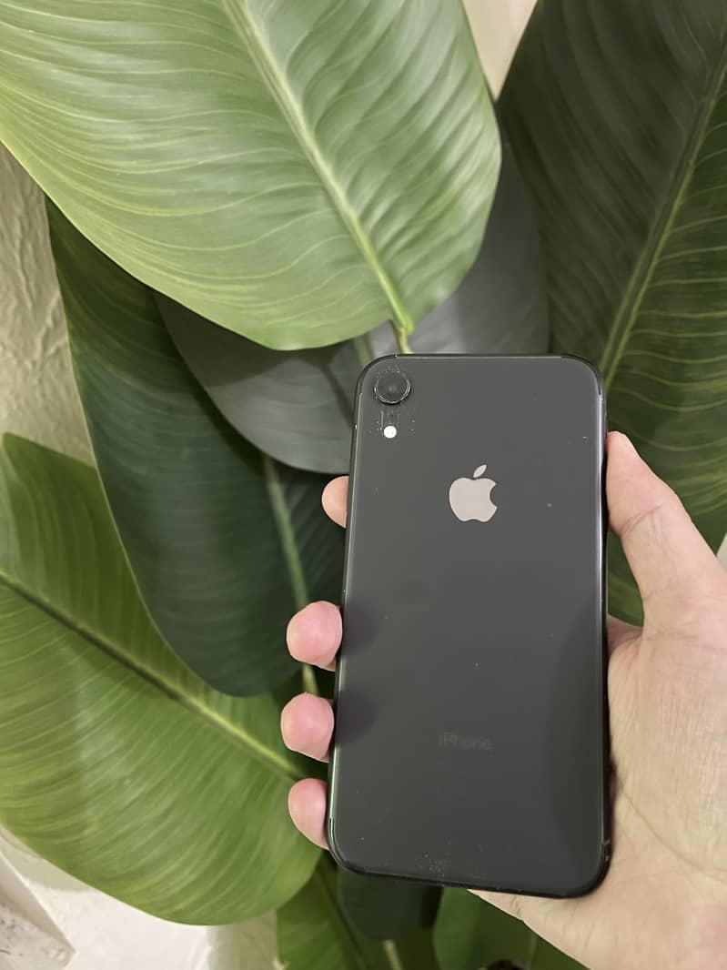 Ipnone xr 0
