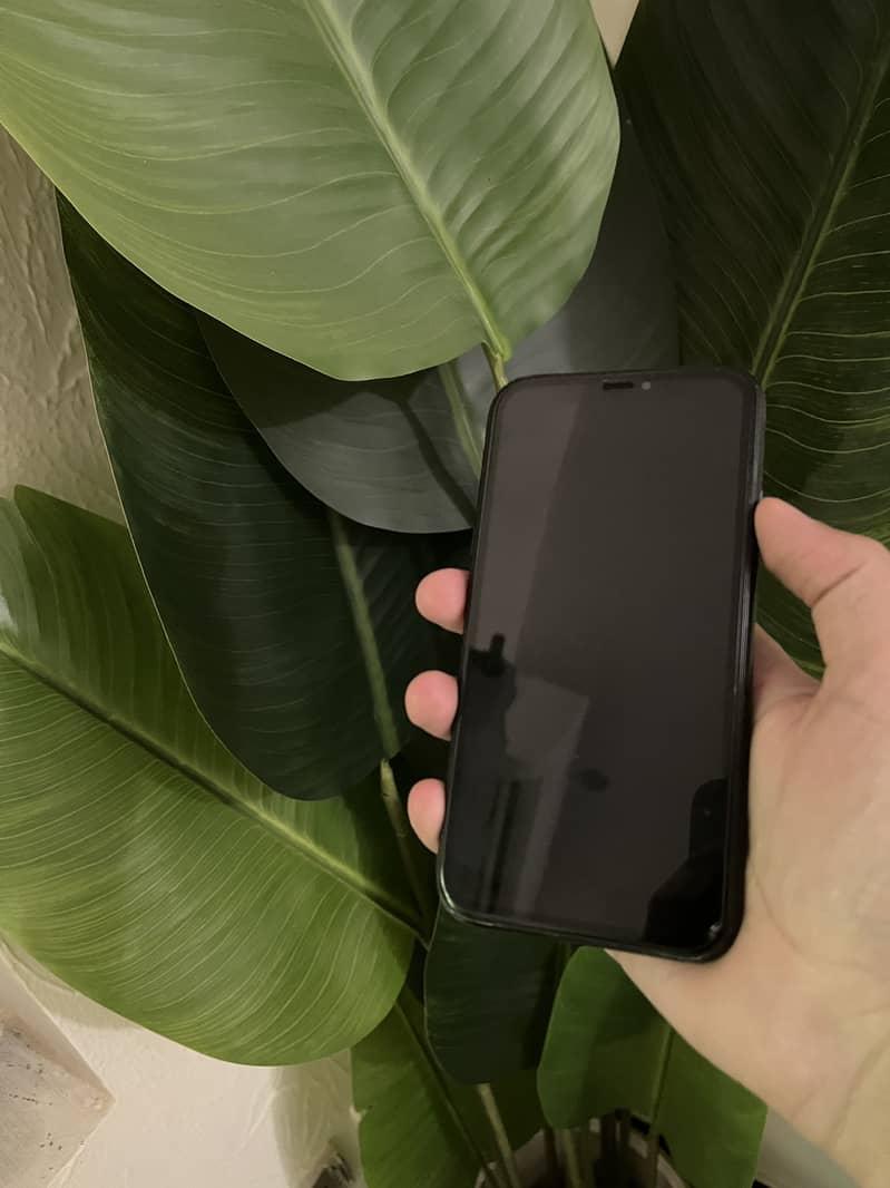 Ipnone xr 1