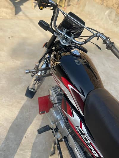 Cd 70 cc Black 24/25