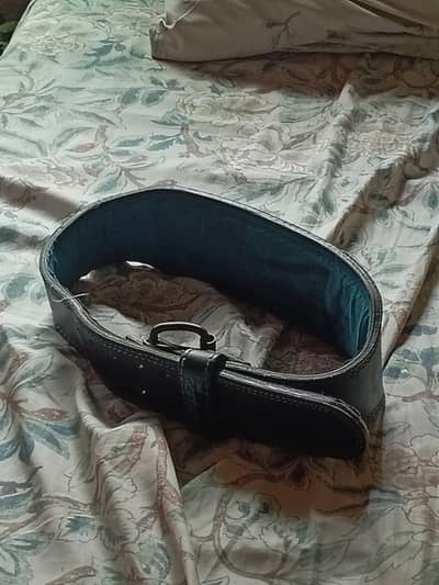 gym lifting belt