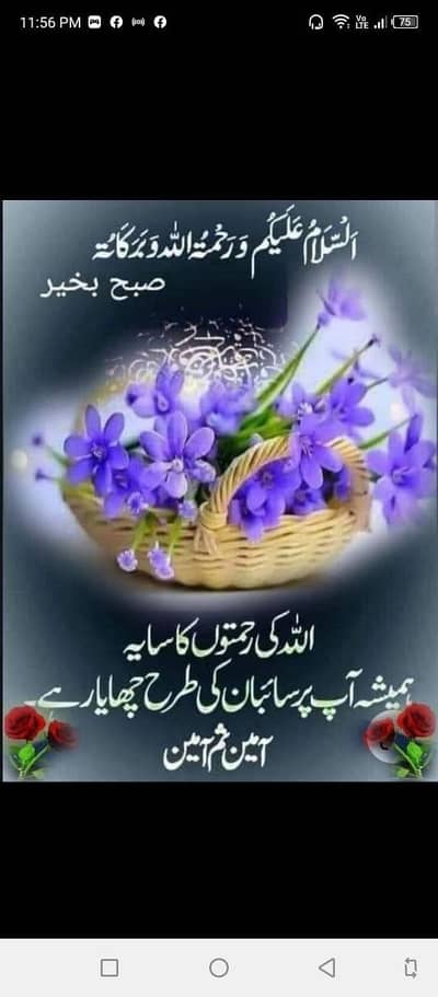 iphone 7 pta prove  256 gb 10/8 conditions