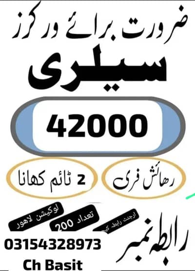 Need urgent staff biscuits packing factory in Lahore