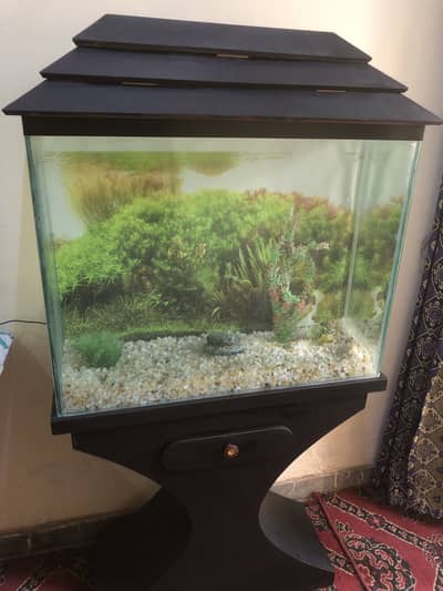 2.6 feet aquarium > Read add