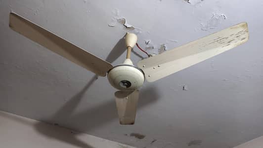 Ceiling fan copper