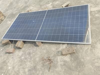 Canadian plate for sale