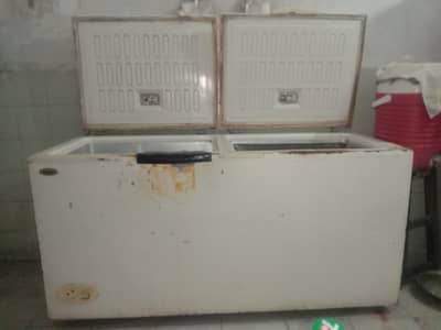 Waves double door freezer