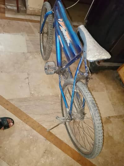 phonix bicycle margad bi h i