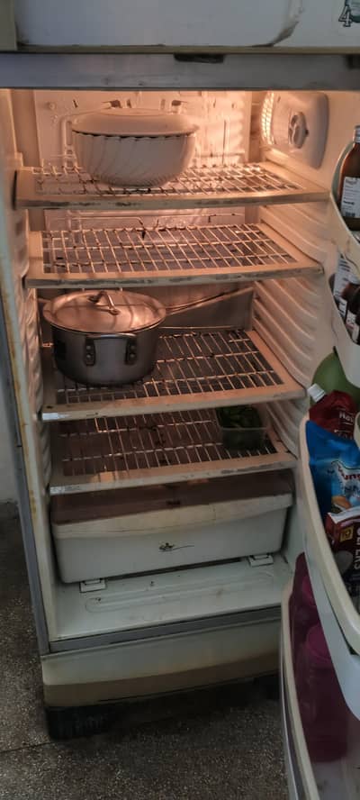 pel refrigerator full size demand 55000