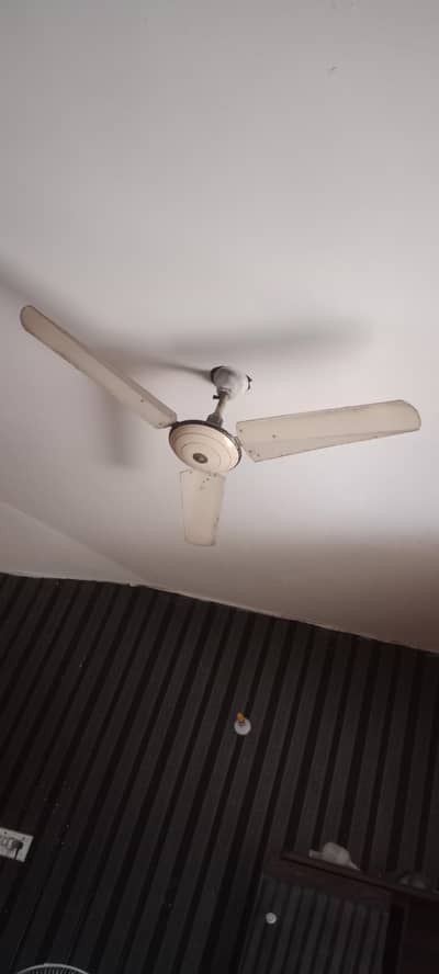 Ceiling Fan
