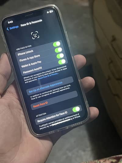 converter 11 pro 256GB
