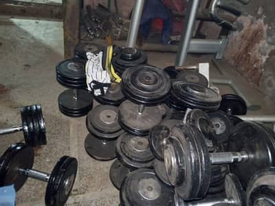 Commercial Gym Dumbbells & Barbell Rods