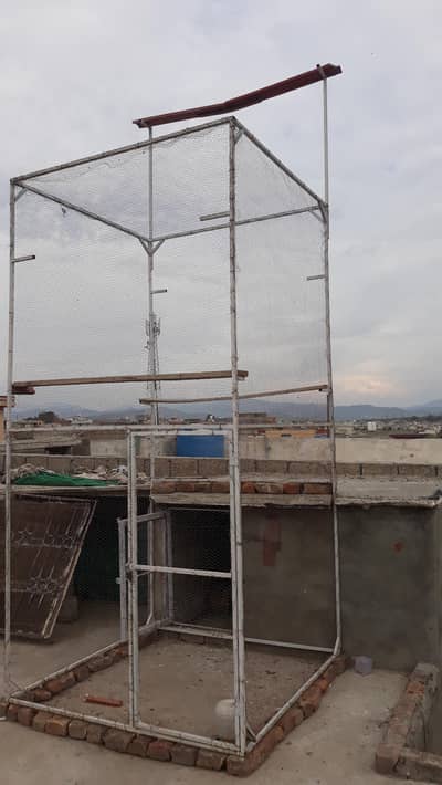 pigeons cage