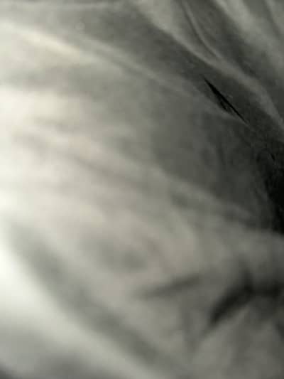 Female cook required