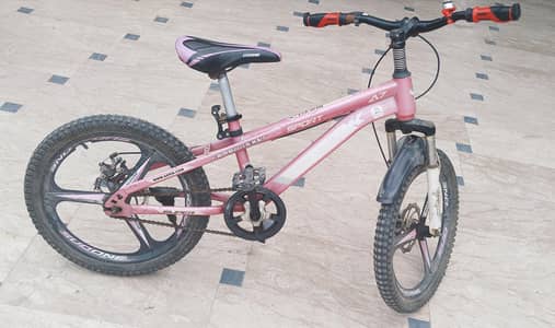 Bycycle for Sale (Kids)