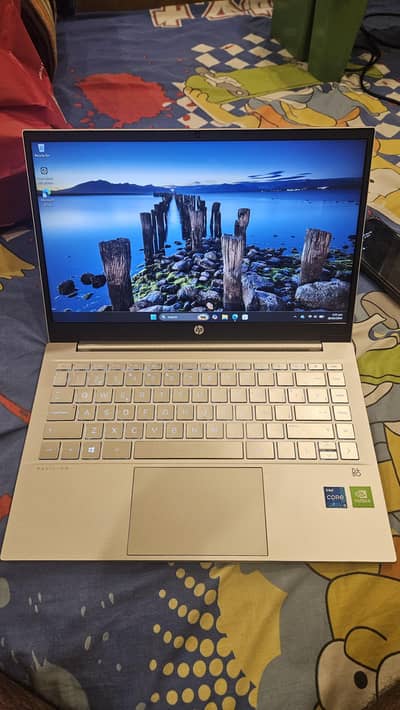 HP Pavilion 14 11th Gen