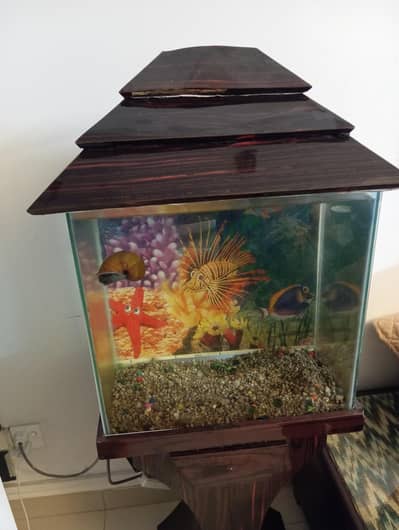 Aquarium Available For Sale