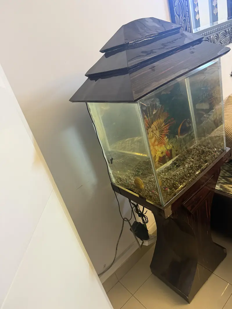 Aquarium Available For Sale — photo 4