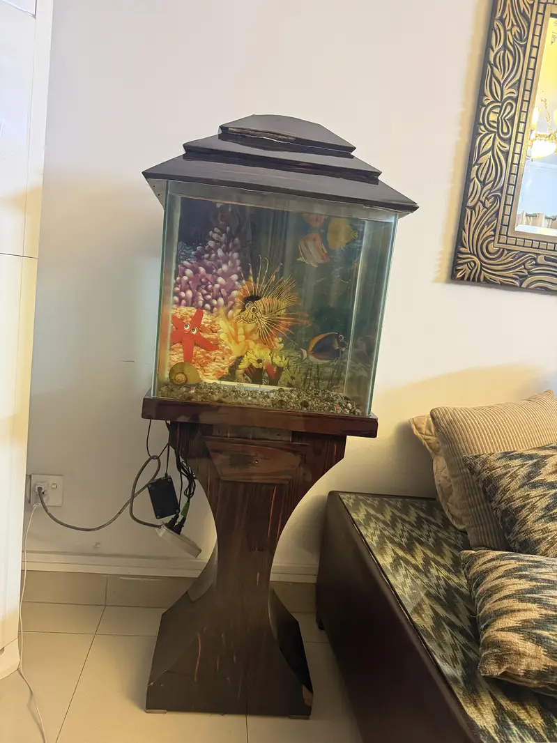 Aquarium Available For Sale — photo 6