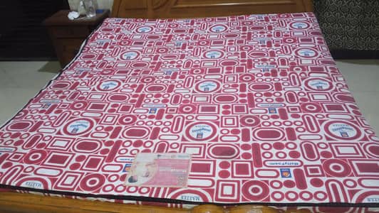 master molty foam 8inch