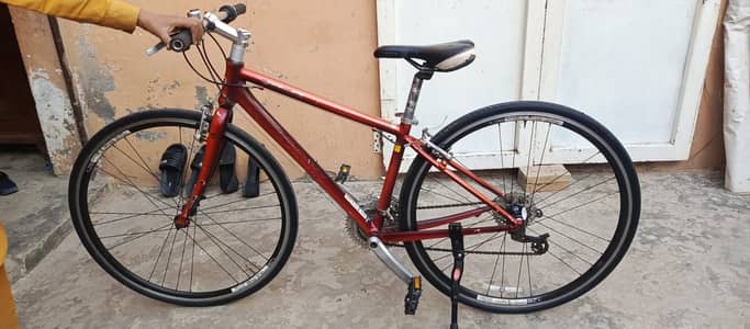 Orignal gaint escape r3 nut to nut genuine for sale