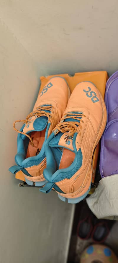 DSC Cricket Shoes -Size UK11 or 45
