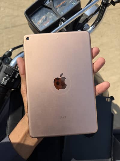 ipad mini 5