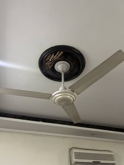 Sheikh ceiling fans