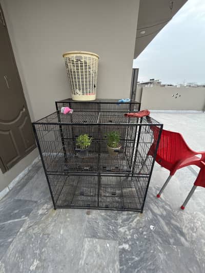 8 portion cage for sale