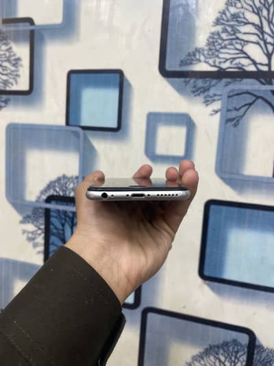 iPhone 6 official pta 64 gb