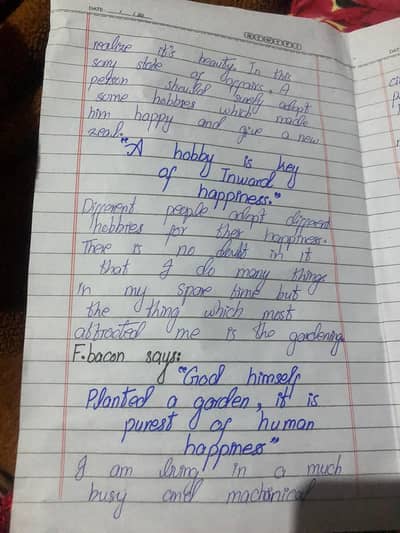 Content Writer & Professional Assignment Maker