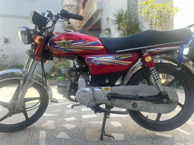 Safari Sulf start 2025