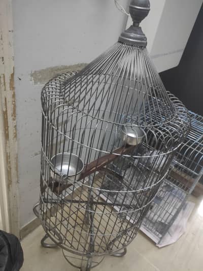 cage For Parrots