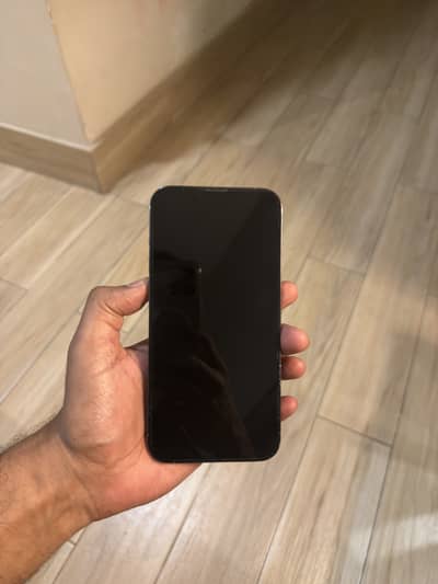 13 Pro Max 256 GB PTA Approved