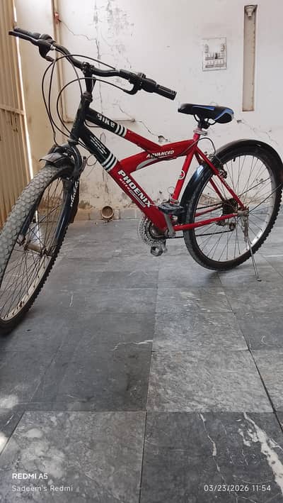 PHOENIX CLASSIC HYBRID BIKE