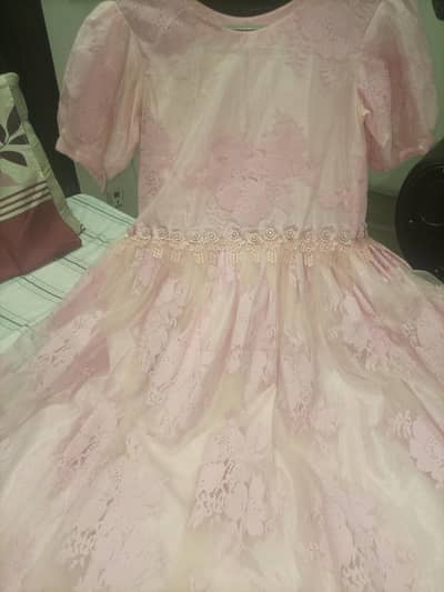 long tail pink colour fairy ferock