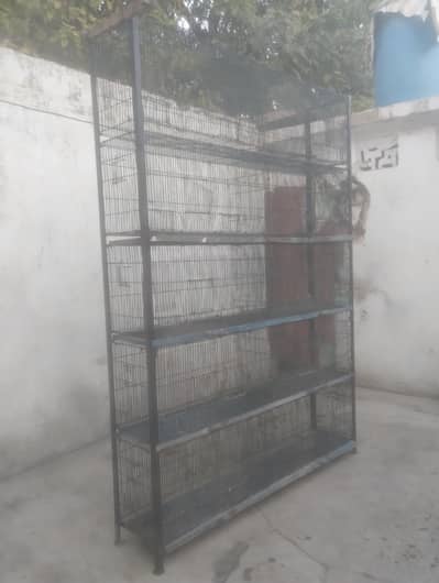 Iron Cage | 10 Portions