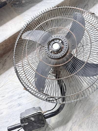 fan01