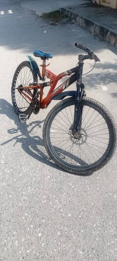 Phoenix Bicycle adults