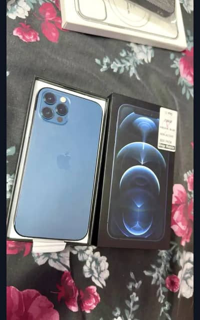iPhone 12 Pro pta approved