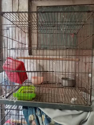 cage for sale
