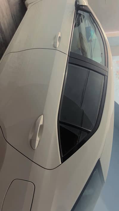 carolla model 2019 genien